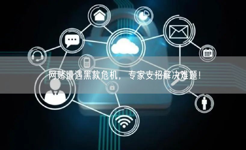 网赌遭遇黑款危机，专家支招解决难题！