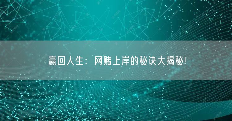 赢回人生：网赌上岸的秘诀大揭秘!