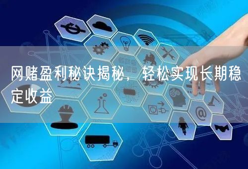 网赌盈利秘诀揭秘，轻松实现长期稳定收益