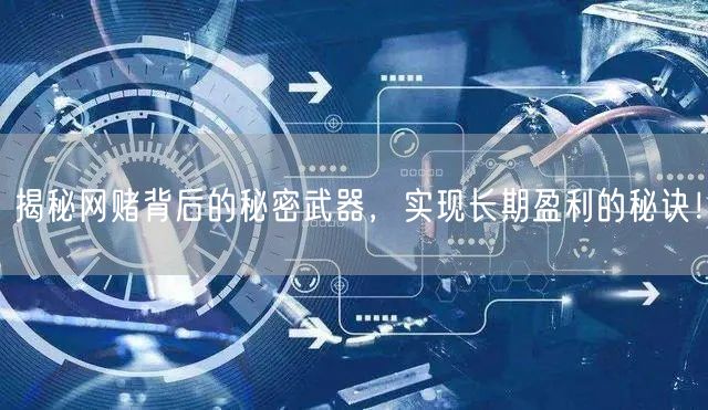 揭秘网赌背后的秘密武器，实现长期盈利的秘诀！