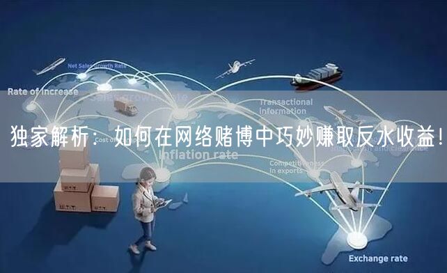 独家解析：如何在网络赌博中巧妙赚取反水收益！